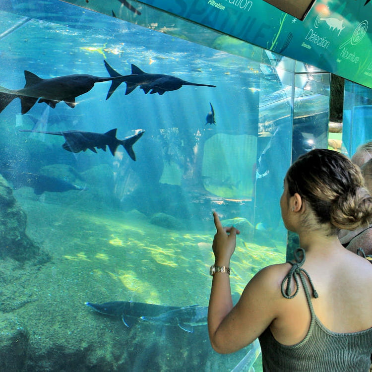 aquarium Périgord noir au village Le Bugue