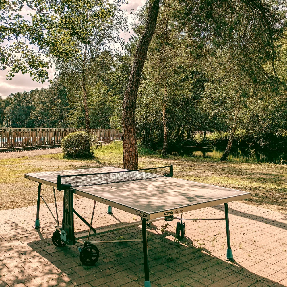 ping-pong