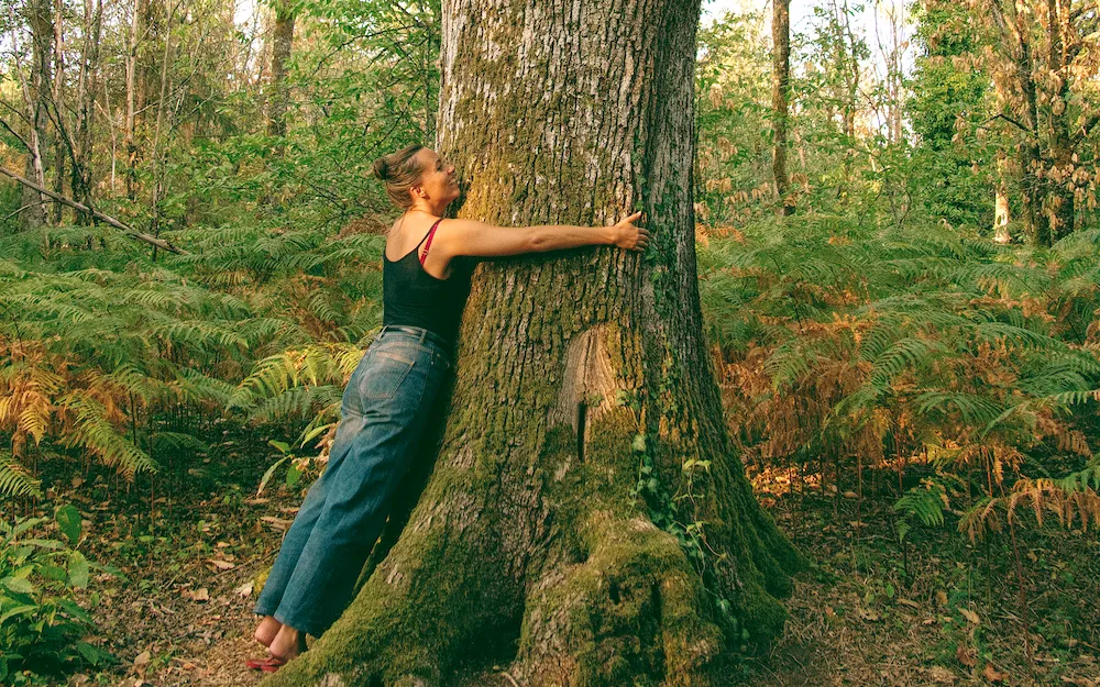 Sylvothérapie dans un domaine nature en Dordogne