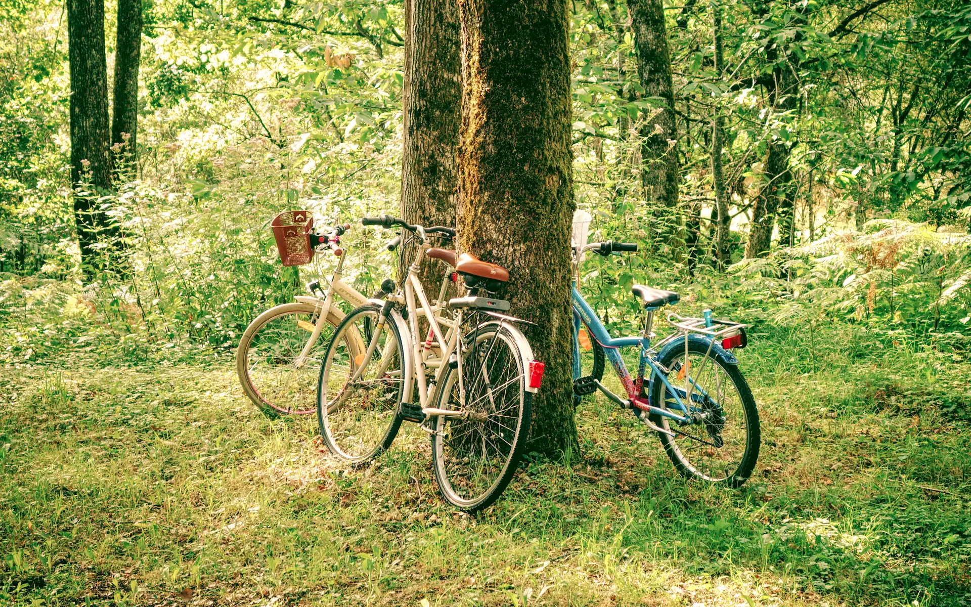 halte à vélo à parenthèses imaginaires